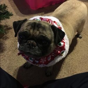 Meet your Posher, Natalie